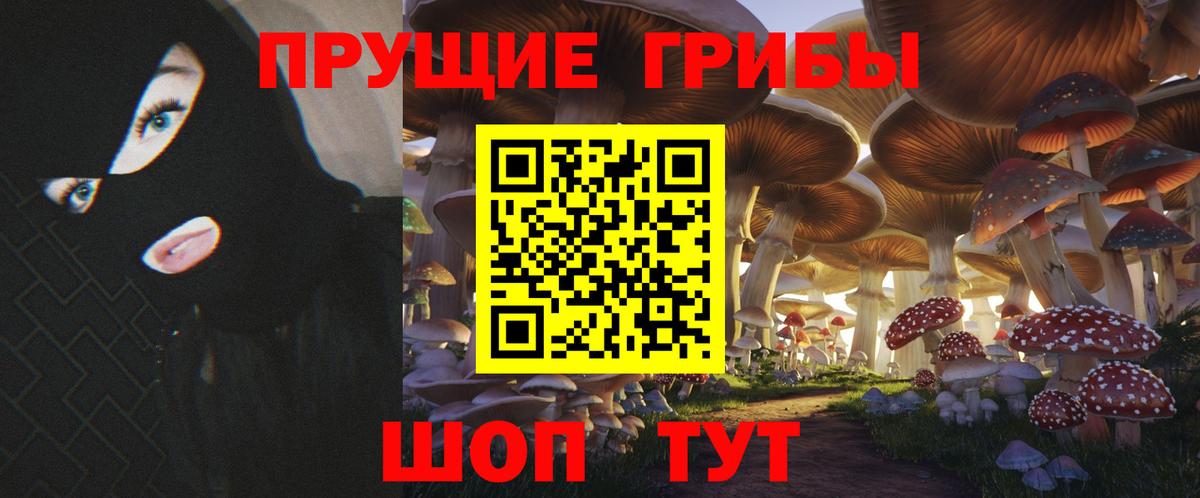 Псилоцибиновые грибы мицелий Санкт-Петербург